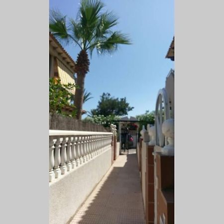 La Casa De La Palmera Lejlighed Torrevieja Eksteriør billede
