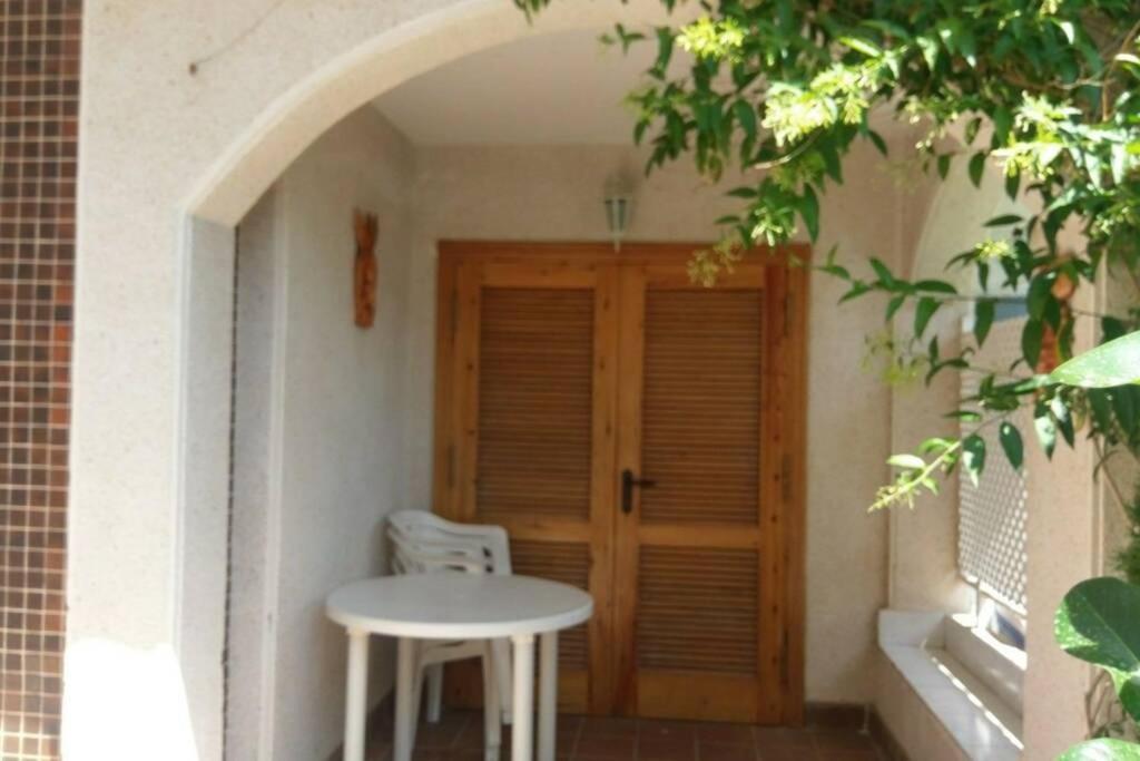La Casa De La Palmera Lejlighed Torrevieja Eksteriør billede