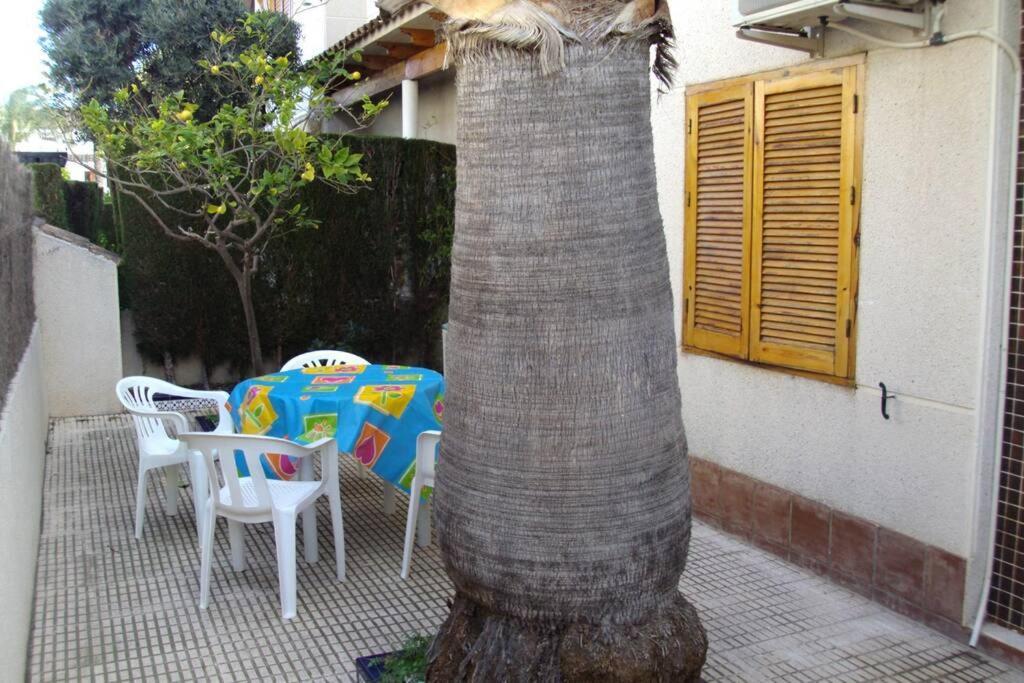 La Casa De La Palmera Lejlighed Torrevieja Eksteriør billede