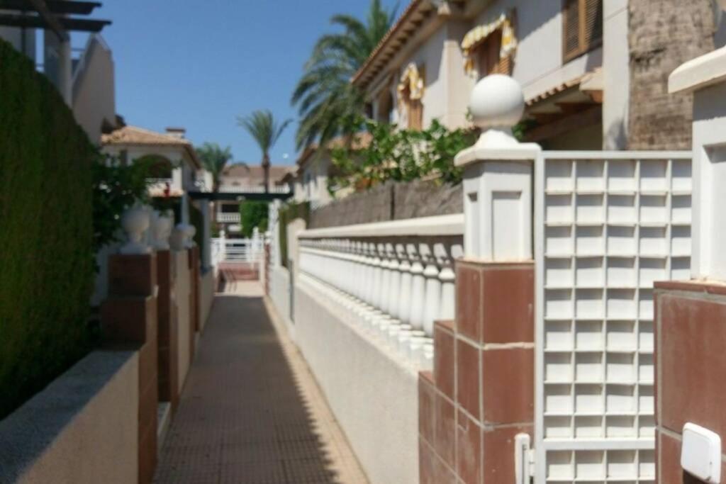 La Casa De La Palmera Lejlighed Torrevieja Eksteriør billede
