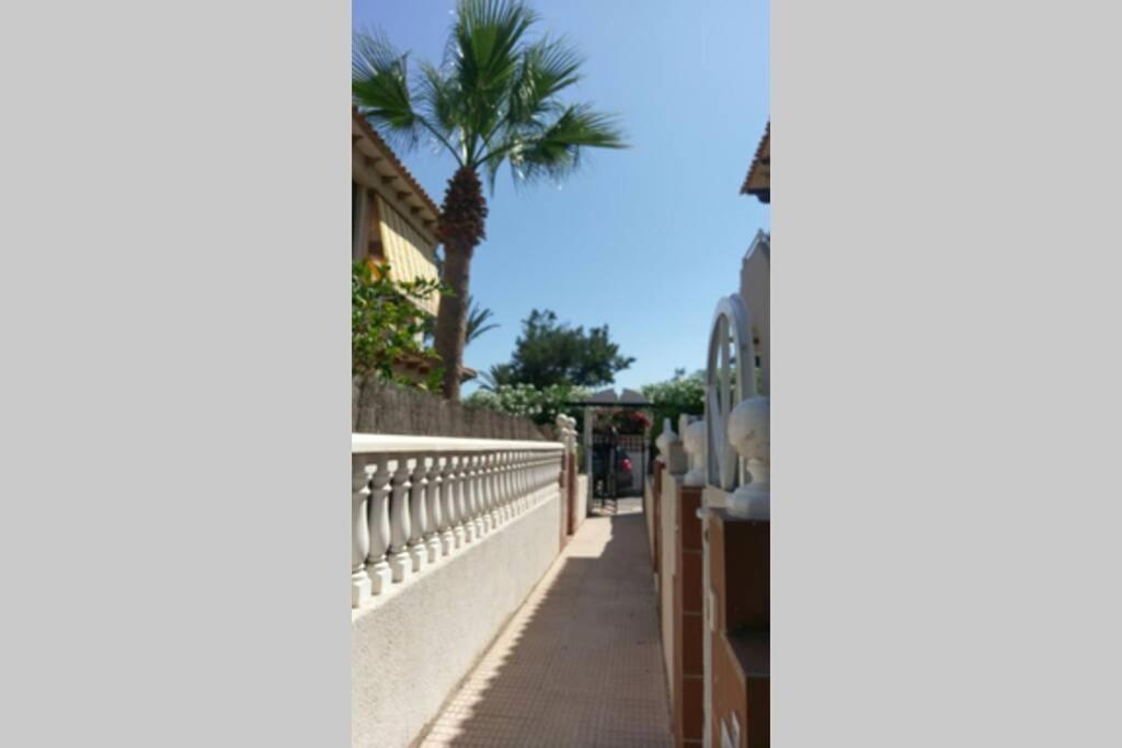 La Casa De La Palmera Lejlighed Torrevieja Eksteriør billede