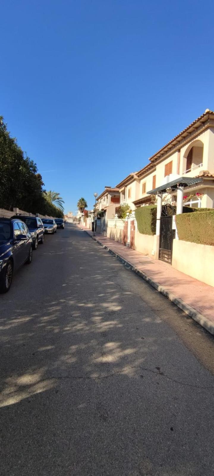 La Casa De La Palmera Lejlighed Torrevieja Eksteriør billede